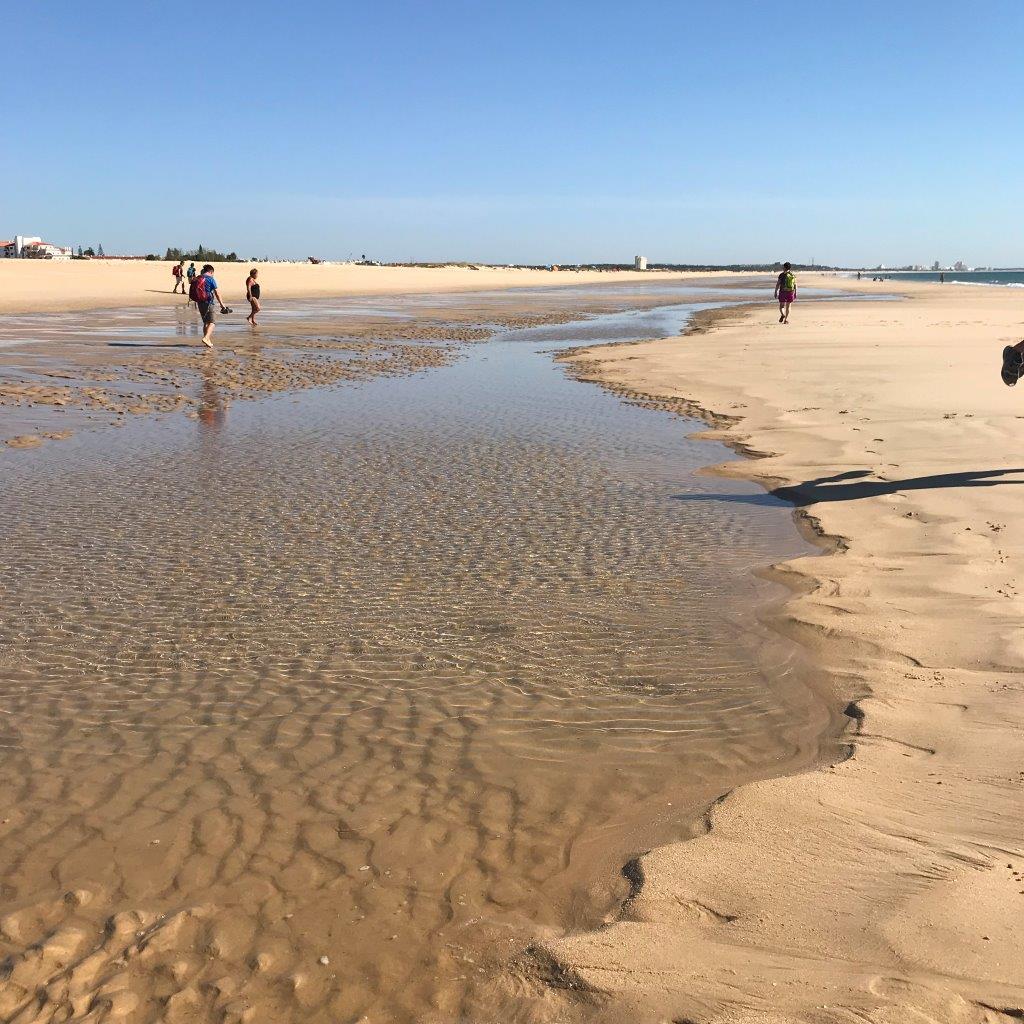 Strandwanderung Strandwanderung