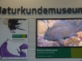 Naturkundemuseum Joanneum