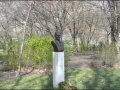 reagan