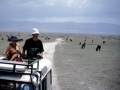 Ngorongoro Krater