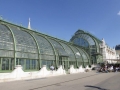 Palmenhaus im Burggarten