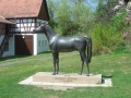 Denkmal Deckhengst