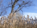 Kurpark