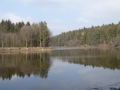 Herrensee Litschau