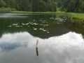 Wandern zum Bichlersee bei Oberaudorf