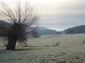 Wienerwald