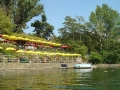 Bootsfahrt Alte Donau
