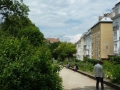 Kräutergarten Botanischer Garten Uni Wien