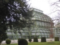 Palmenhaus