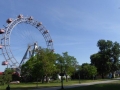 Kaiserwiese mit Riesenrad