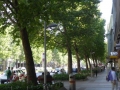 Praterstraße