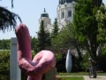 Ehrengrab Franz West
