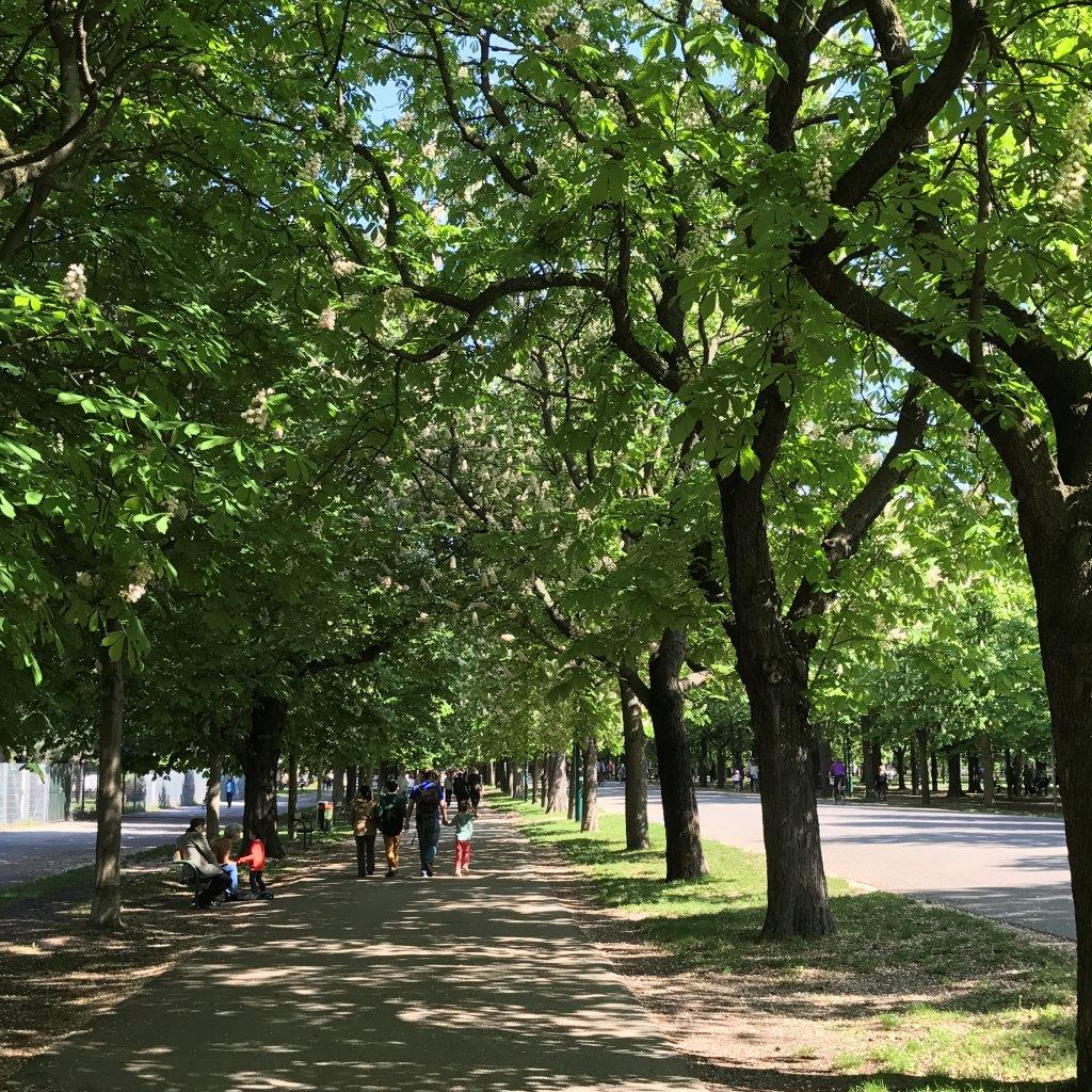 Prater Hauptallee