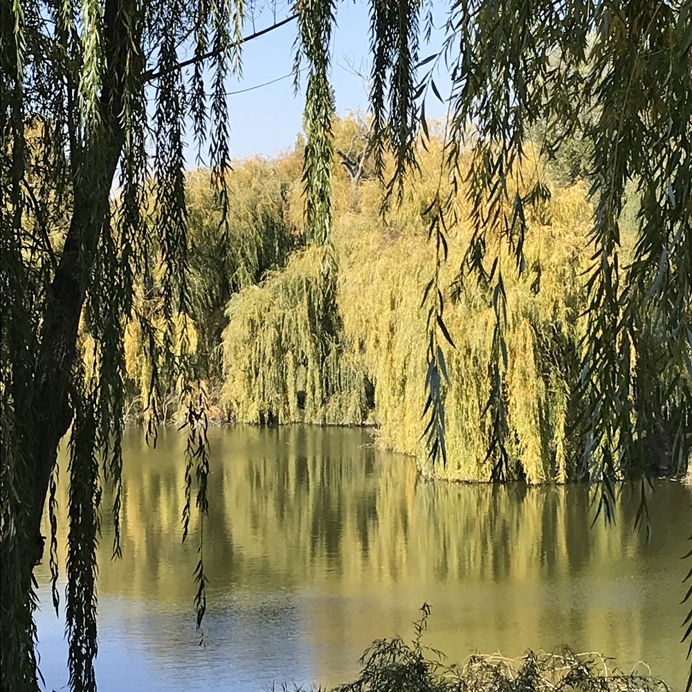 Volkspark Laaer Berg